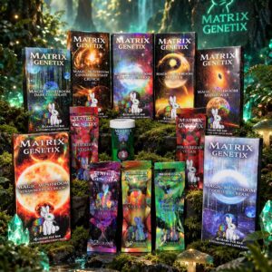 The Voyager's Bundle
